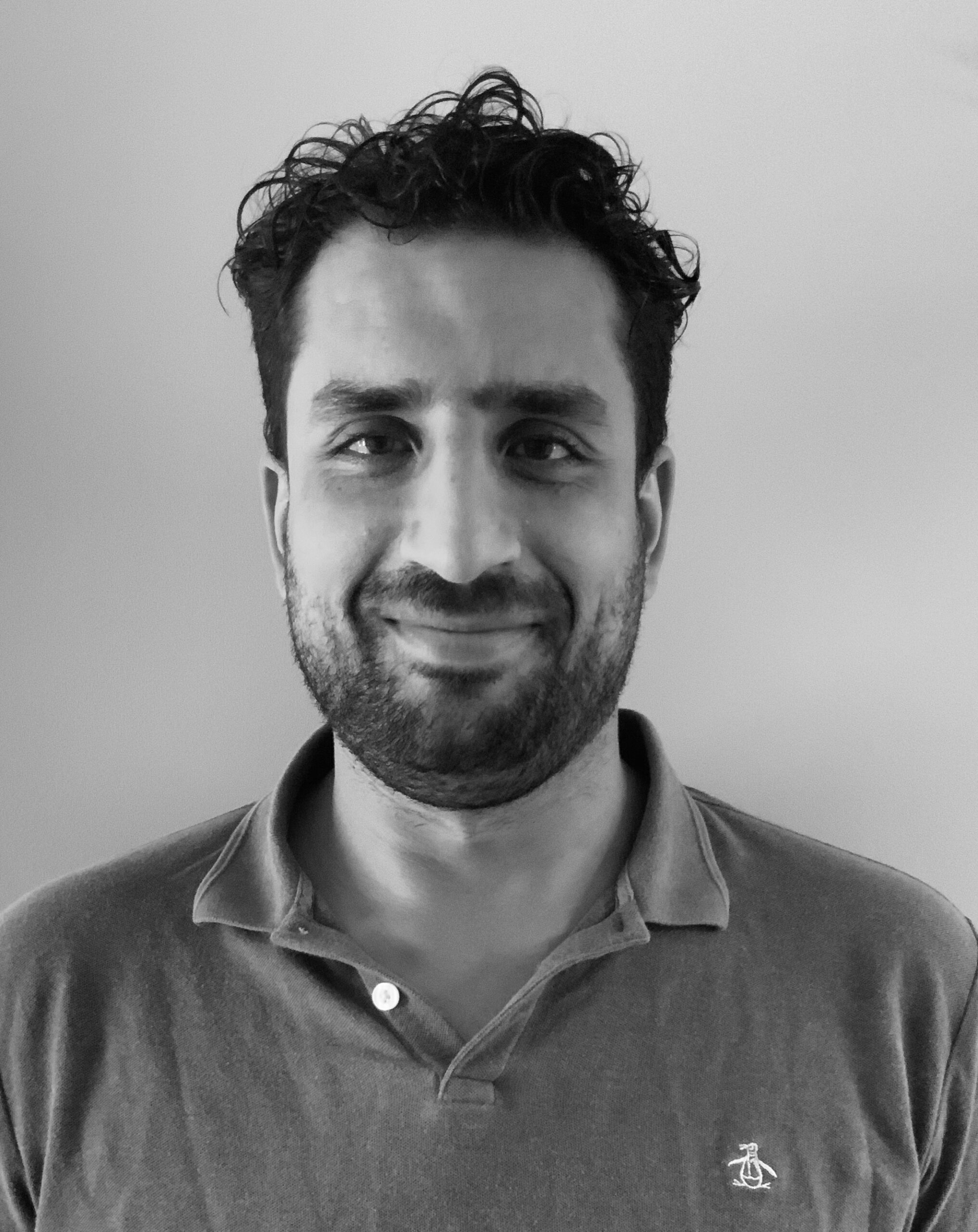 MEHRDAD N.